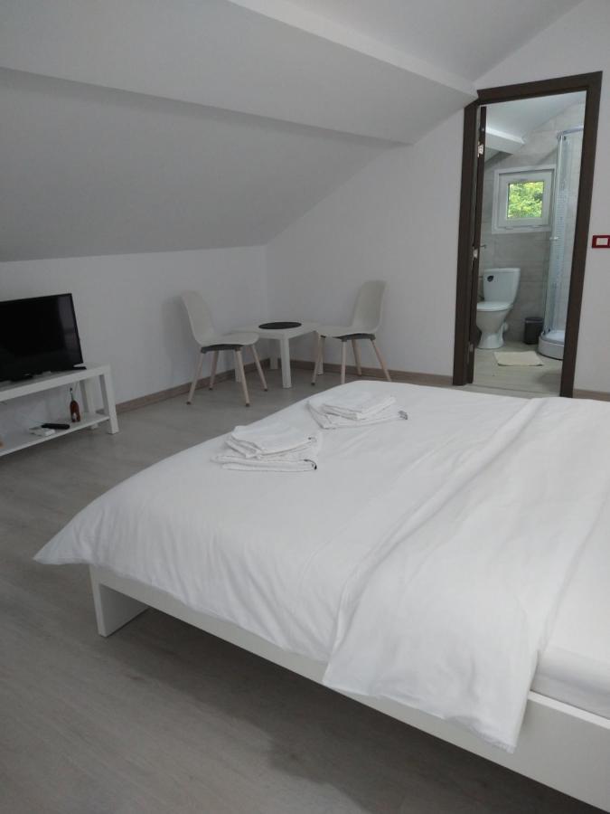 Hotel Casa Patryk Orszowa Zewnętrze zdjęcie
