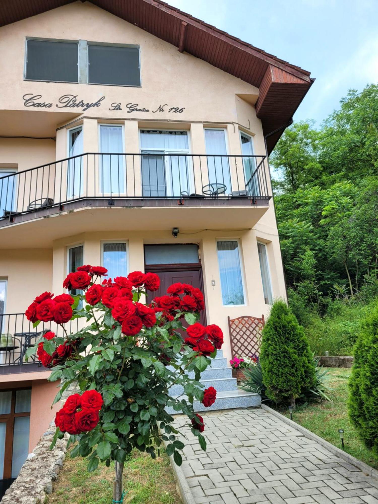 Hotel Casa Patryk Orszowa Zewnętrze zdjęcie