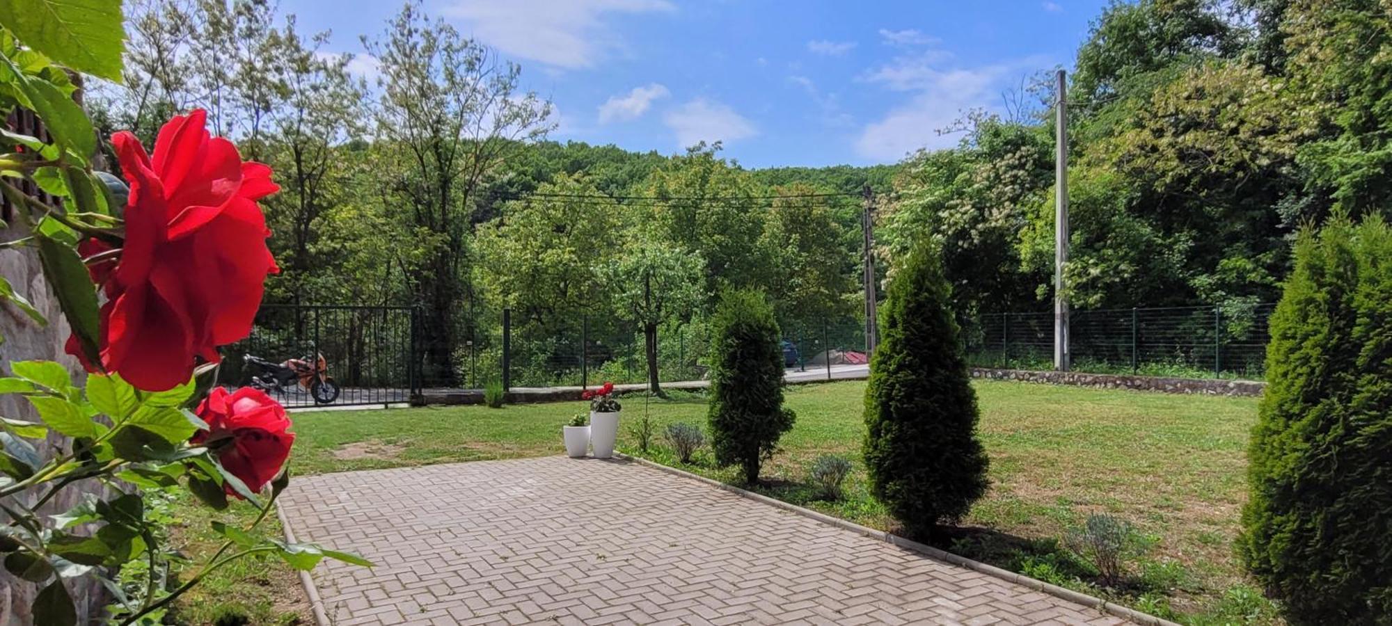 Hotel Casa Patryk Orszowa Zewnętrze zdjęcie