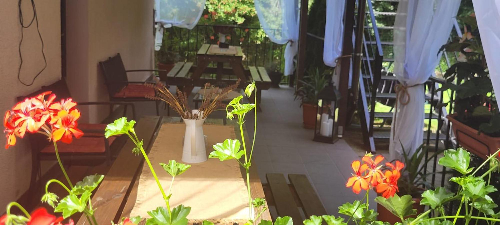 Hotel Casa Patryk Orszowa Zewnętrze zdjęcie